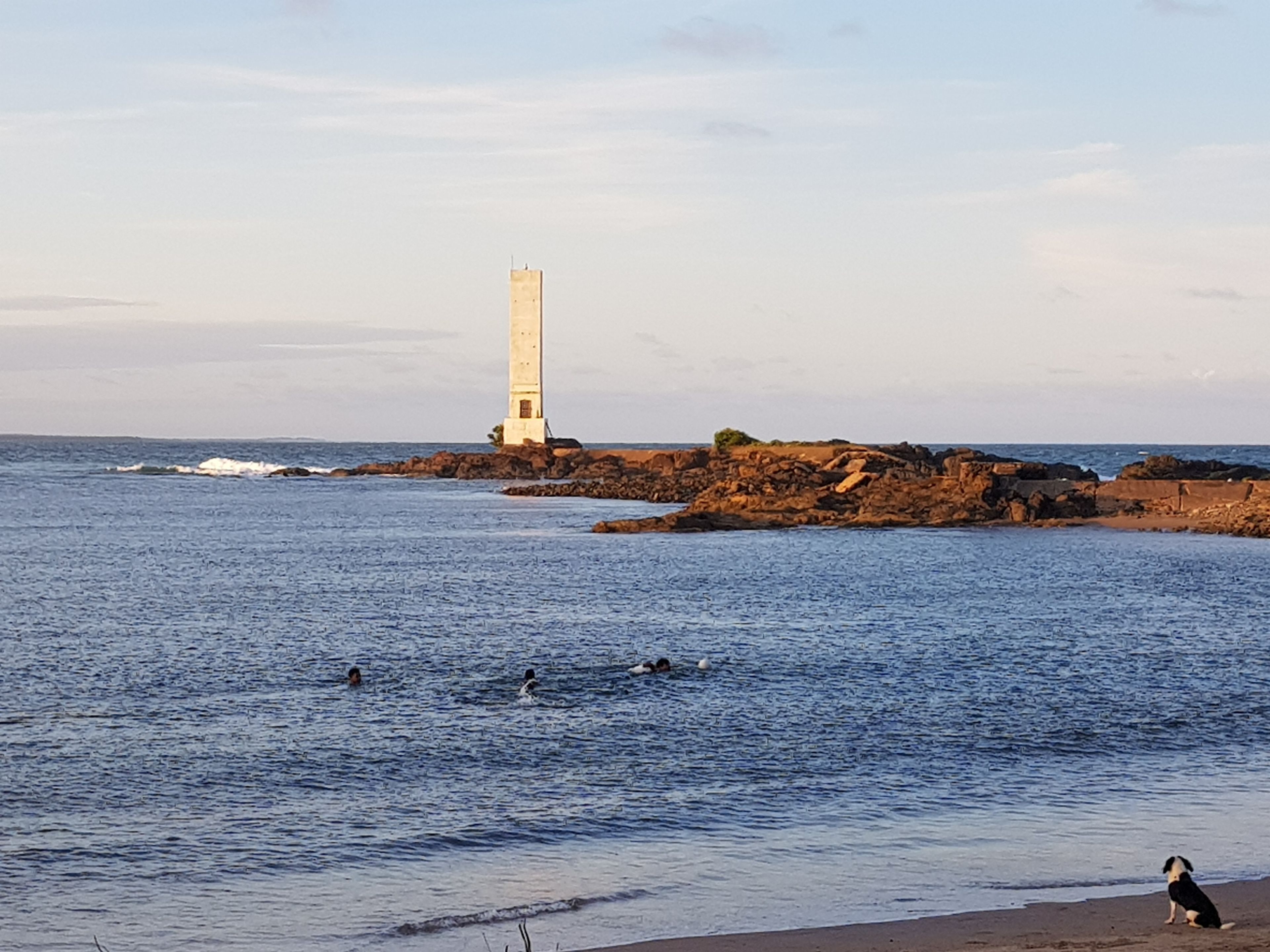 A lighthouse on a rocky outcrop with calm sea water and a dog on the shore.