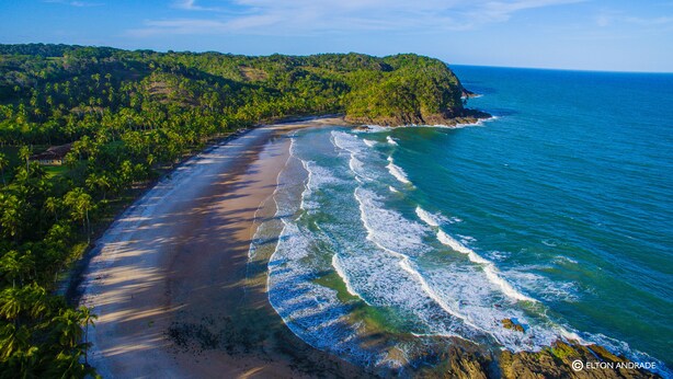 A coastal landscape with a curved beach, dense greenery, and a clear view of the ocean.