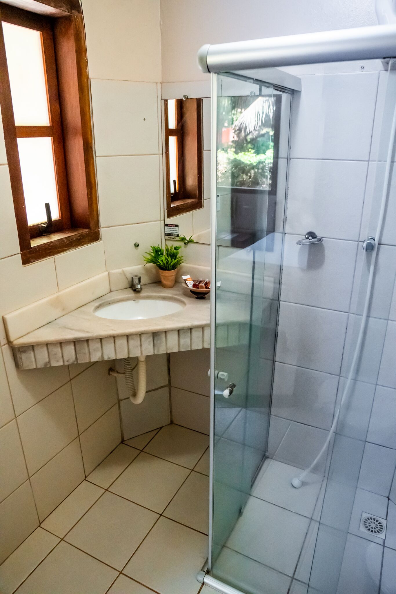 A bathroom with a sink, mirror, potted plant, and a glass-enclosed shower.