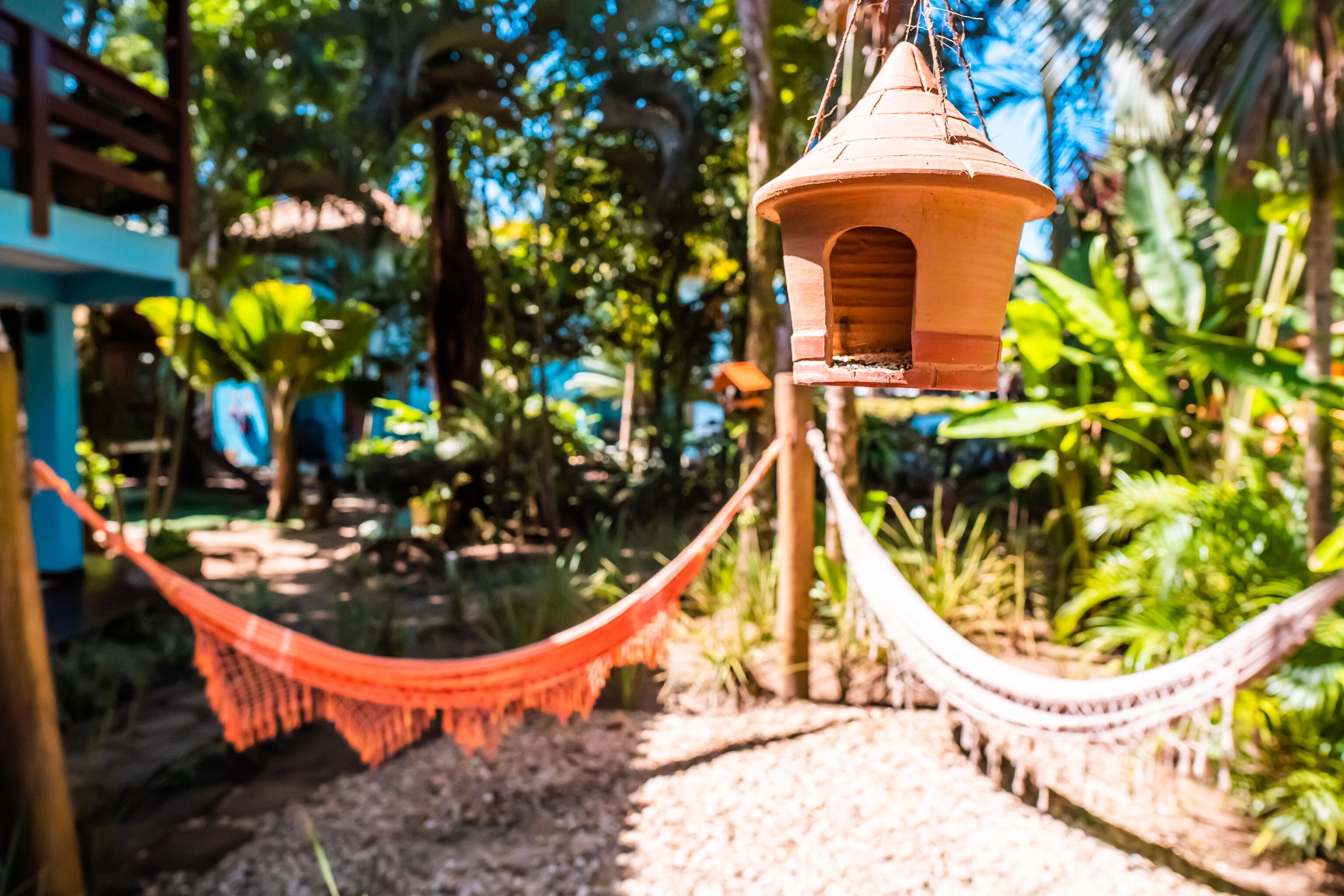 A hammock suspended between two trees in a garden with a birdhouse hanging from a nearby branch.