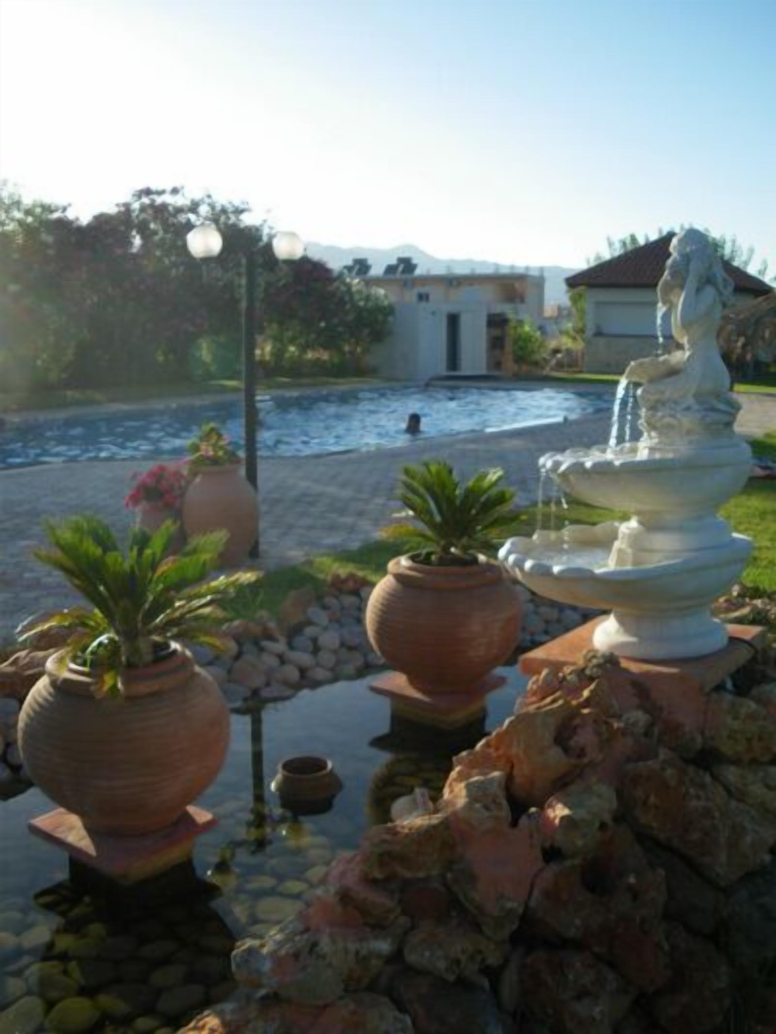 A garden with a fountain, potted plants, and a pool.
