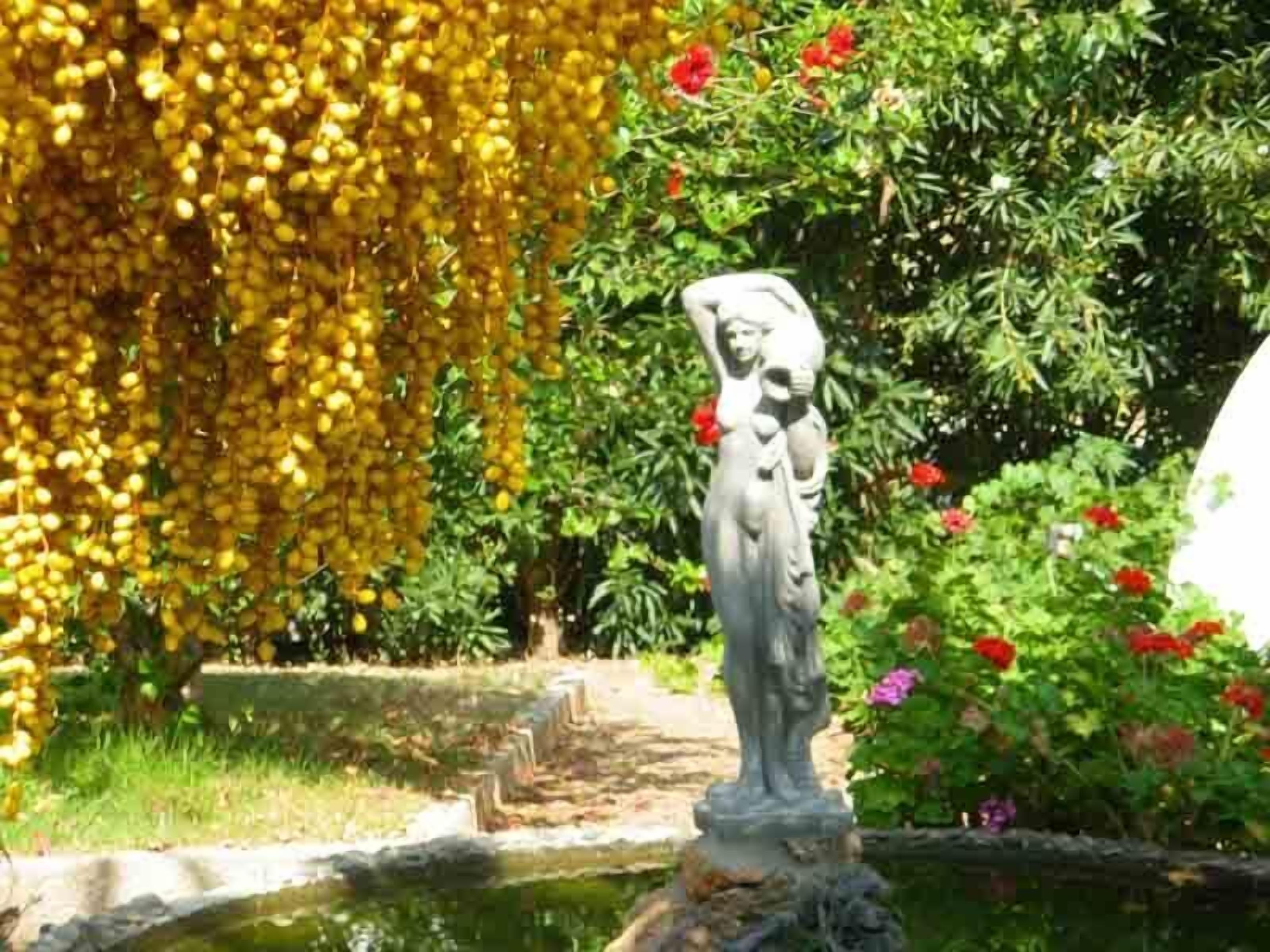 庭園