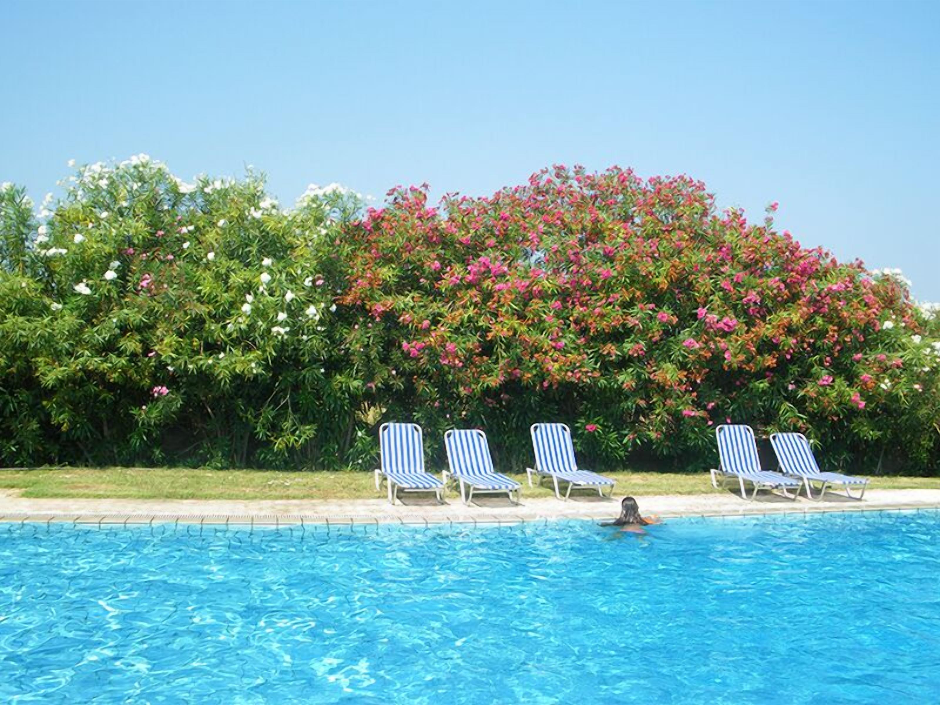 Una piscina con agua azul, rodeada de sillones de descanso y un arbusto grande con flores.