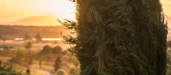 Agriturismo Musignano