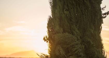 Agriturismo Musignano