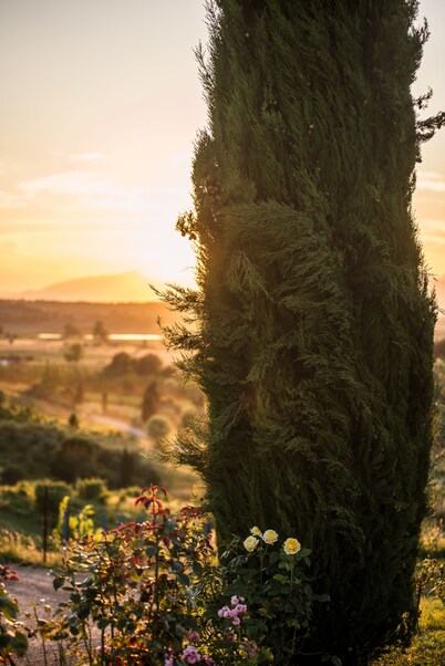 Agriturismo Musignano