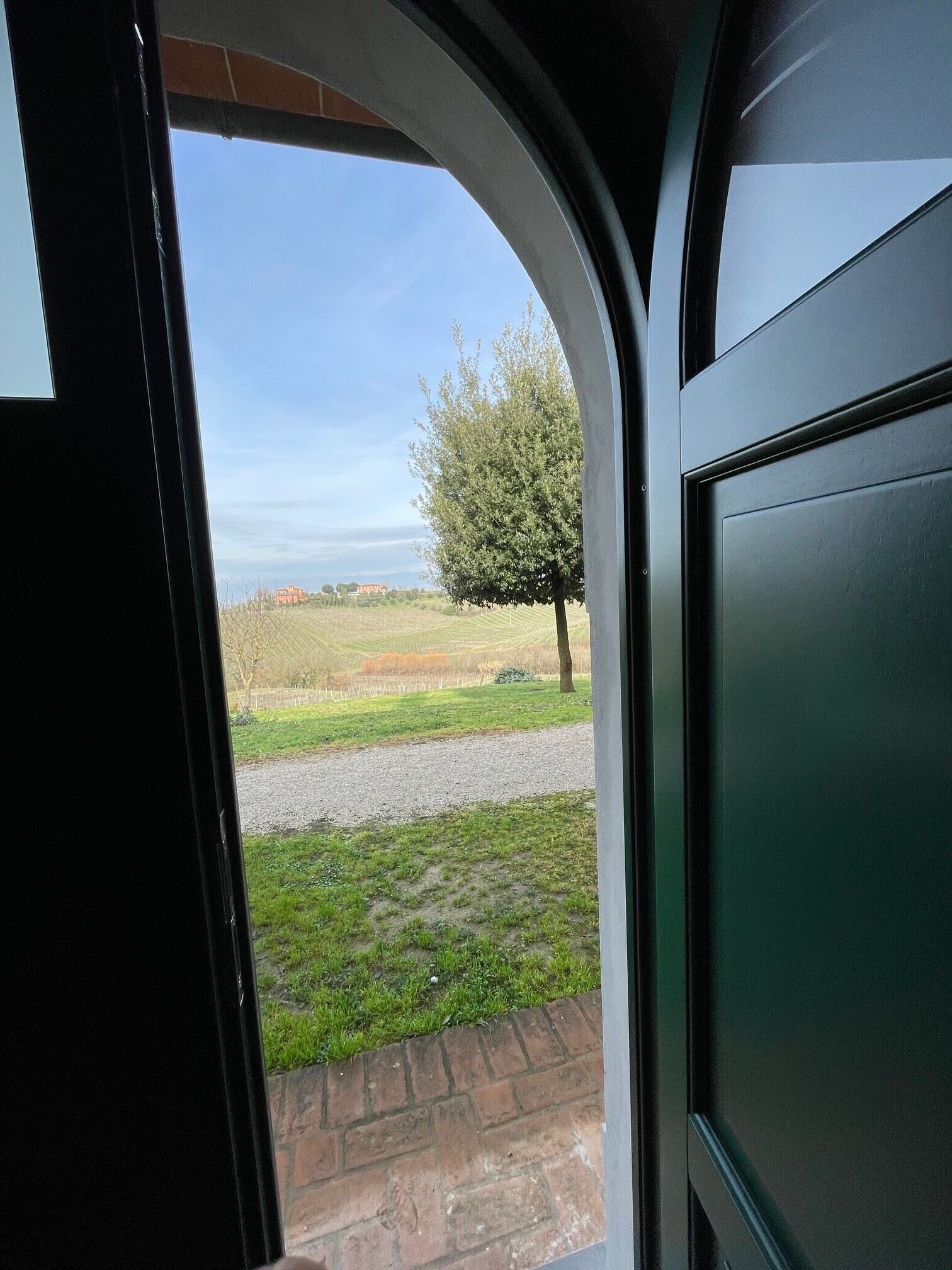 A view through a doorway of a grassy area with a tree and a building in the distance.