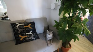 A grey sofa with a black and white geometric pillow, a potted plant, and a visible electrical outlet on the wall. - Guest House Pirelli (Milan)