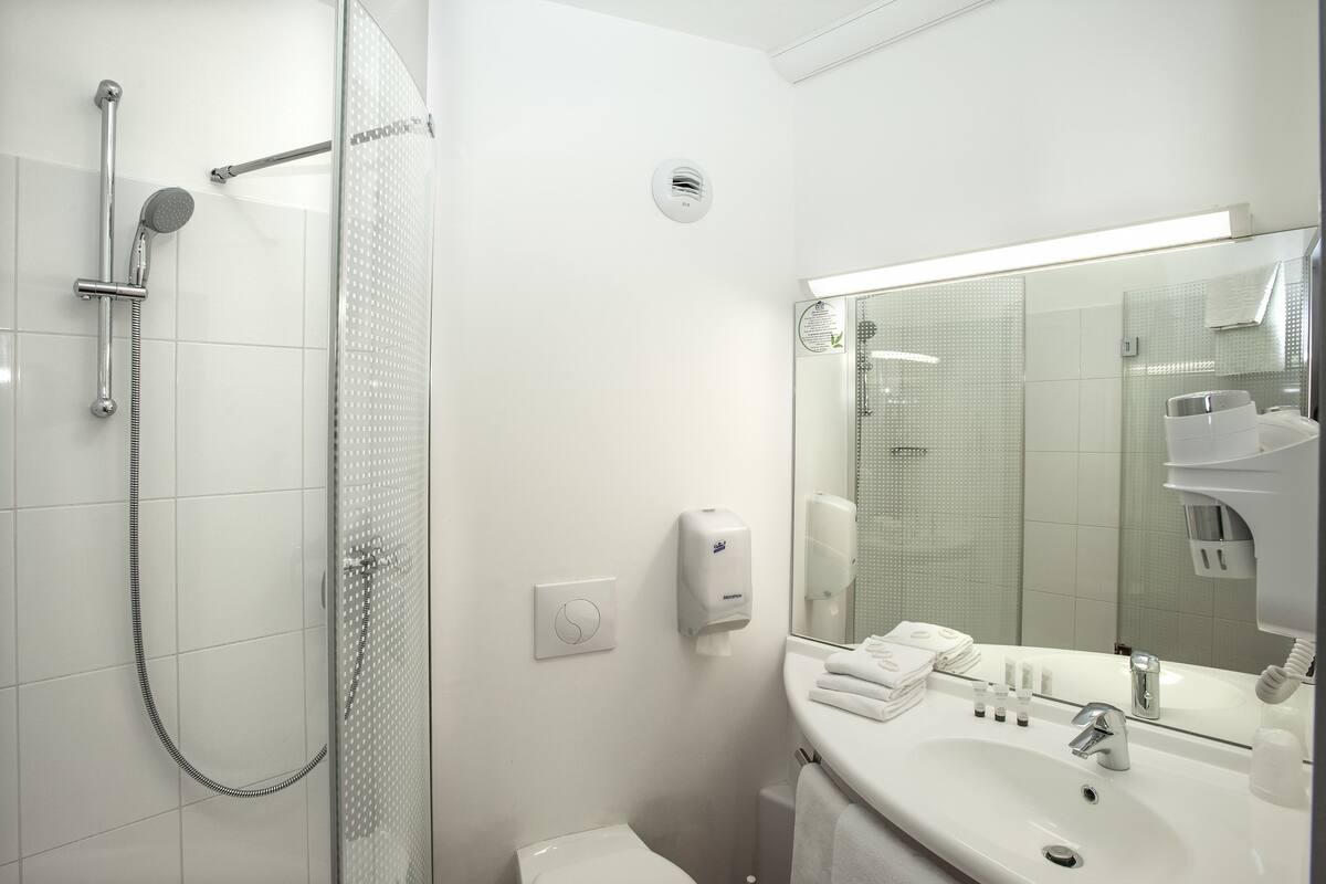 shower, free toiletries, hair dryer, towels