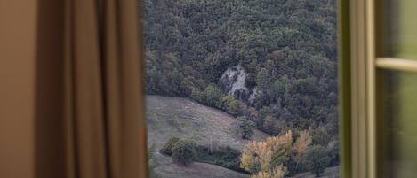 Vista desde una ventana de una ladera boscosa con una cascada.