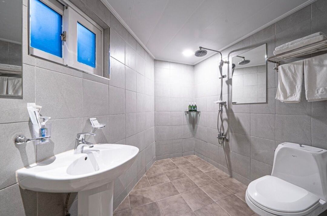 standard twin room | bathroom | shower, free toiletries, hair dryer, slippers