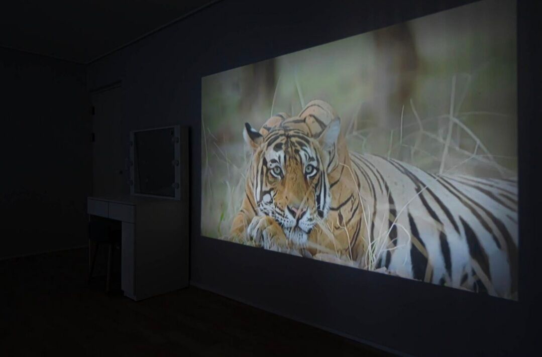 family room, multiple beds | living area