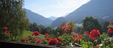 A scenic view of a mountainous landscape with red flowers in the foreground and a clear sky.