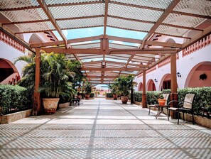 テラス / パティオ