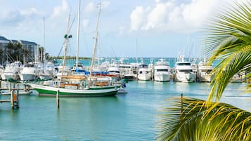 Harbor View King with Balcony | View from property