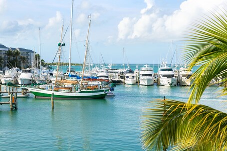The Marker Key West Harbor Resort - Image 46