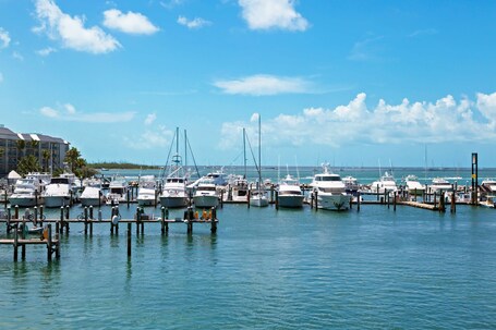 The Marker Key West Harbor Resort - Image 47