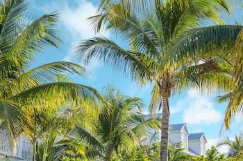 Aerial view at The Marker Key West Harbor Resort