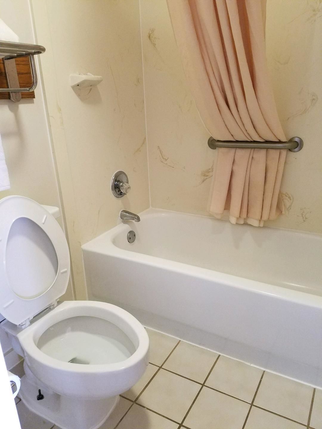 A bathroom with a toilet, a bathtub, and a shower curtain.