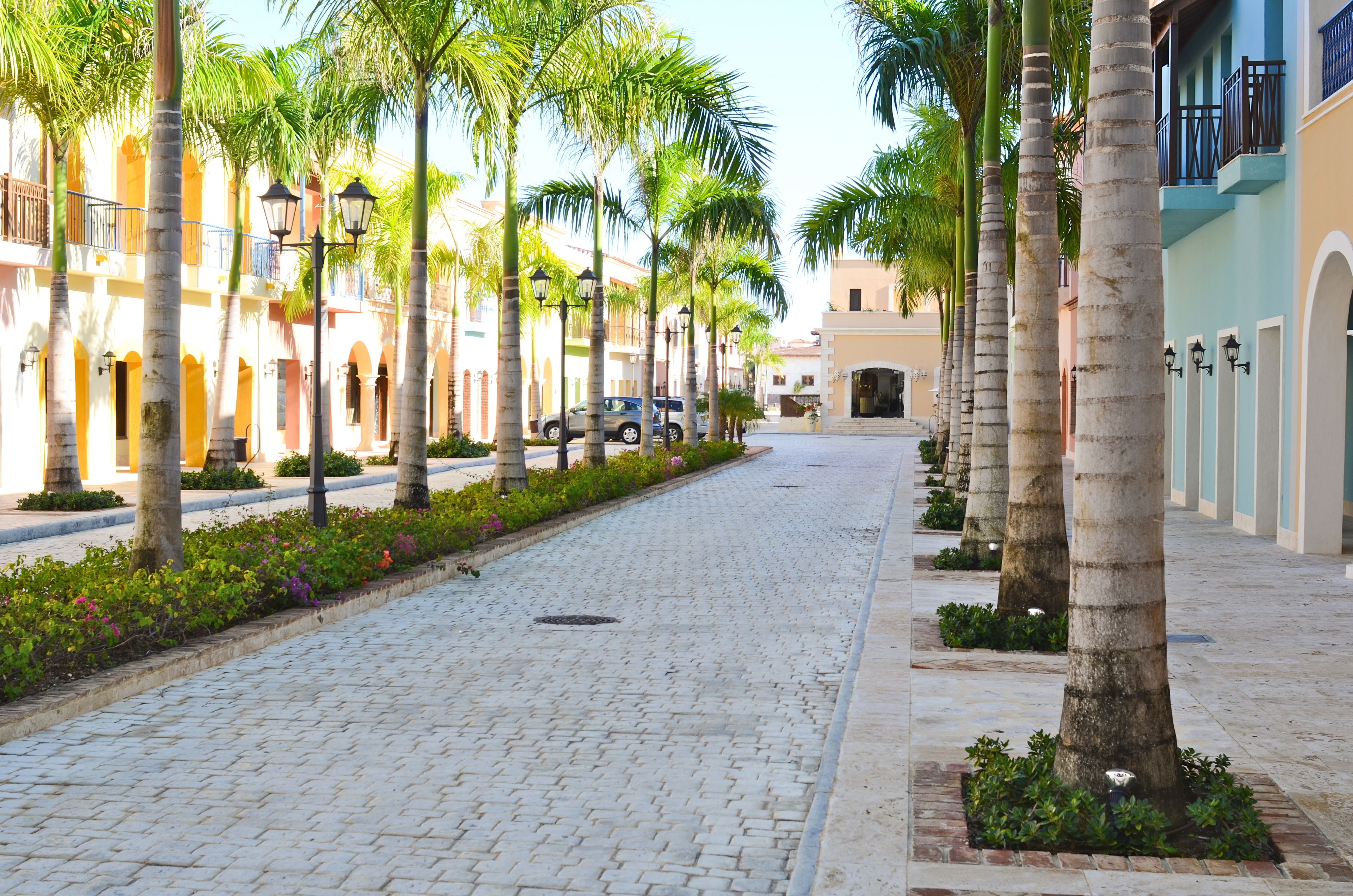 A cobblestone street lined with palm trees and buildings with balconies.