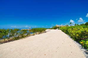 Un sentier pavé mène à une plage, avec un ciel bleu dégagé et de la végétation de chaque côté.
