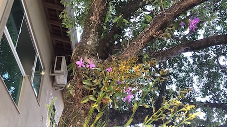 Jardín