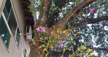 Hotel Pousada Calliandra