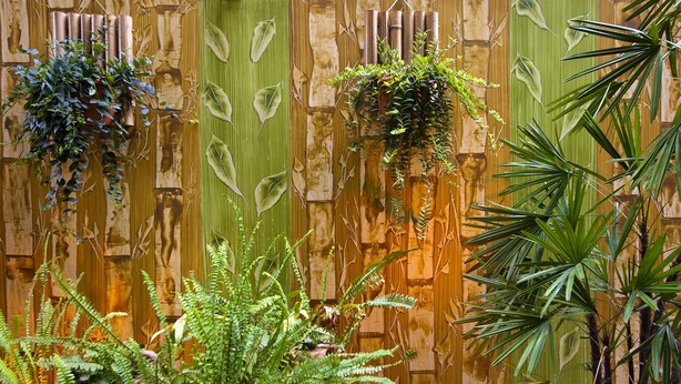 Pared de madera con listones verticales de bambú y plantas colgantes.