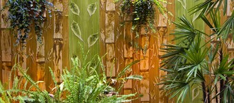 Hotel Pousada Calliandra