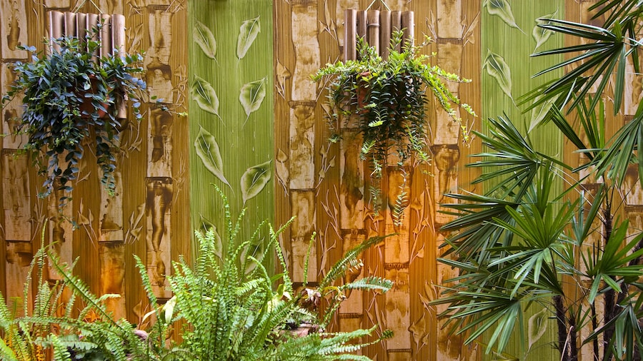 Hotel Pousada Calliandra