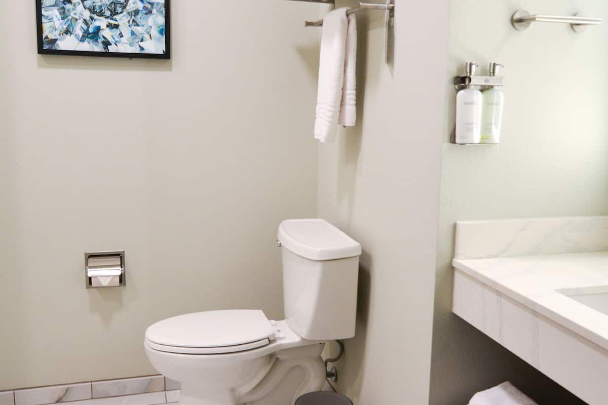 free toiletries, hair dryer, towels, soap