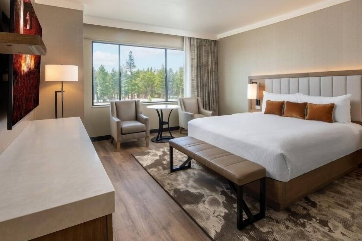 A hotel room with a large bed, a desk, a chair, a bench, a lamp, and a view of trees through the window.