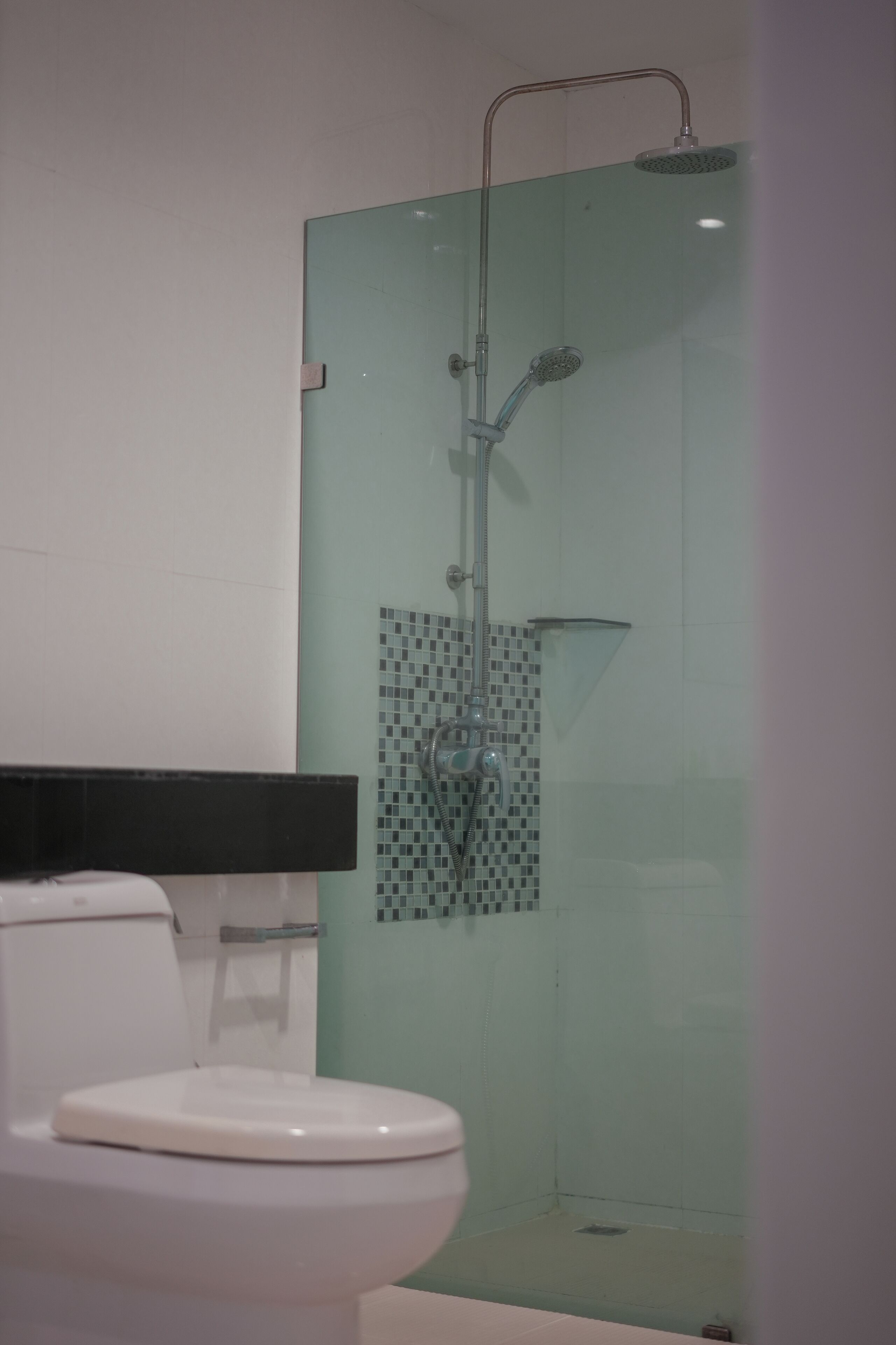A bathroom with a glass-enclosed shower, a white toilet, and a tiled backsplash.