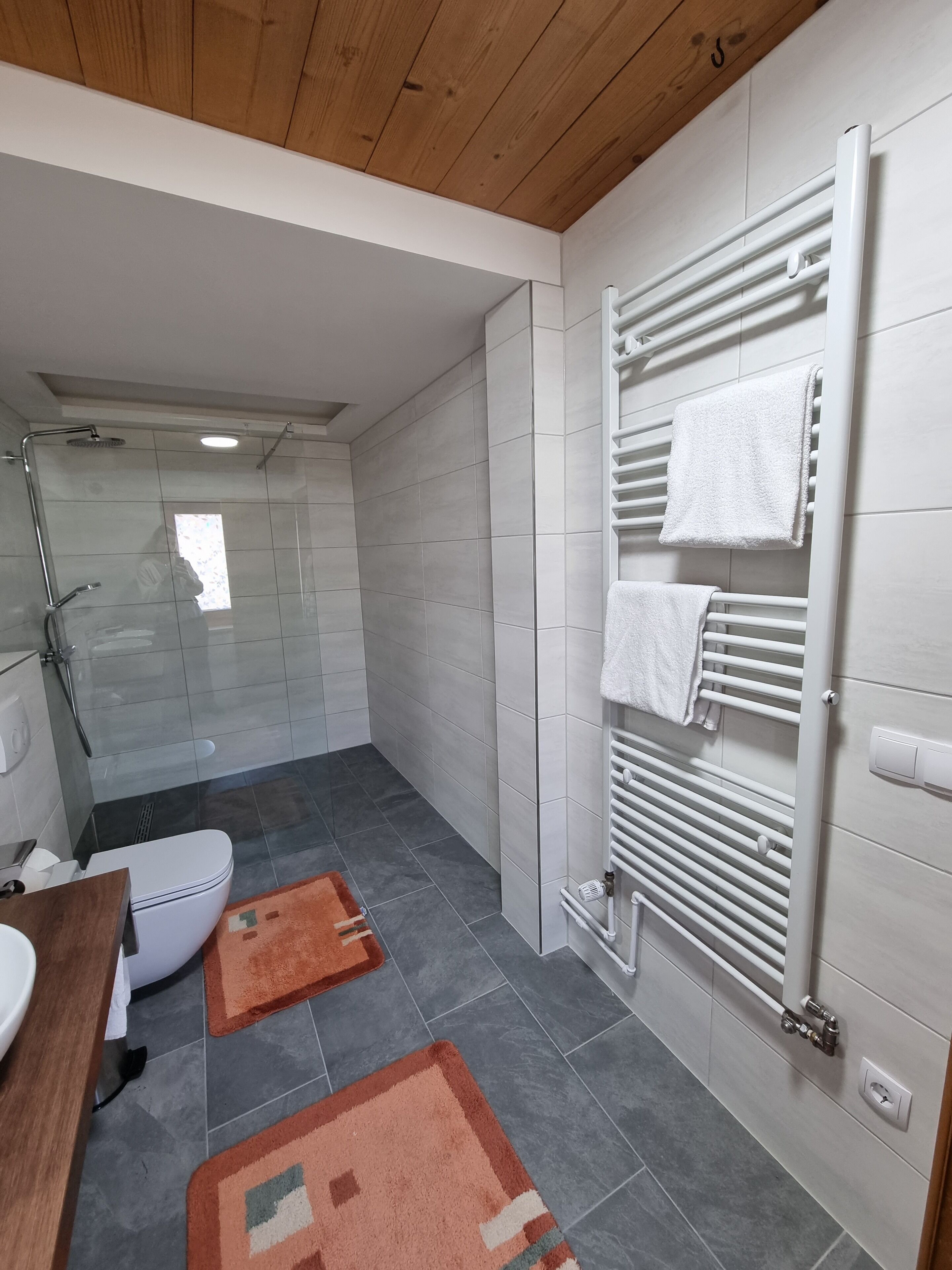 Une salle de bain moderne équipée d’une douche, de toilettes et d’un porte-serviettes.