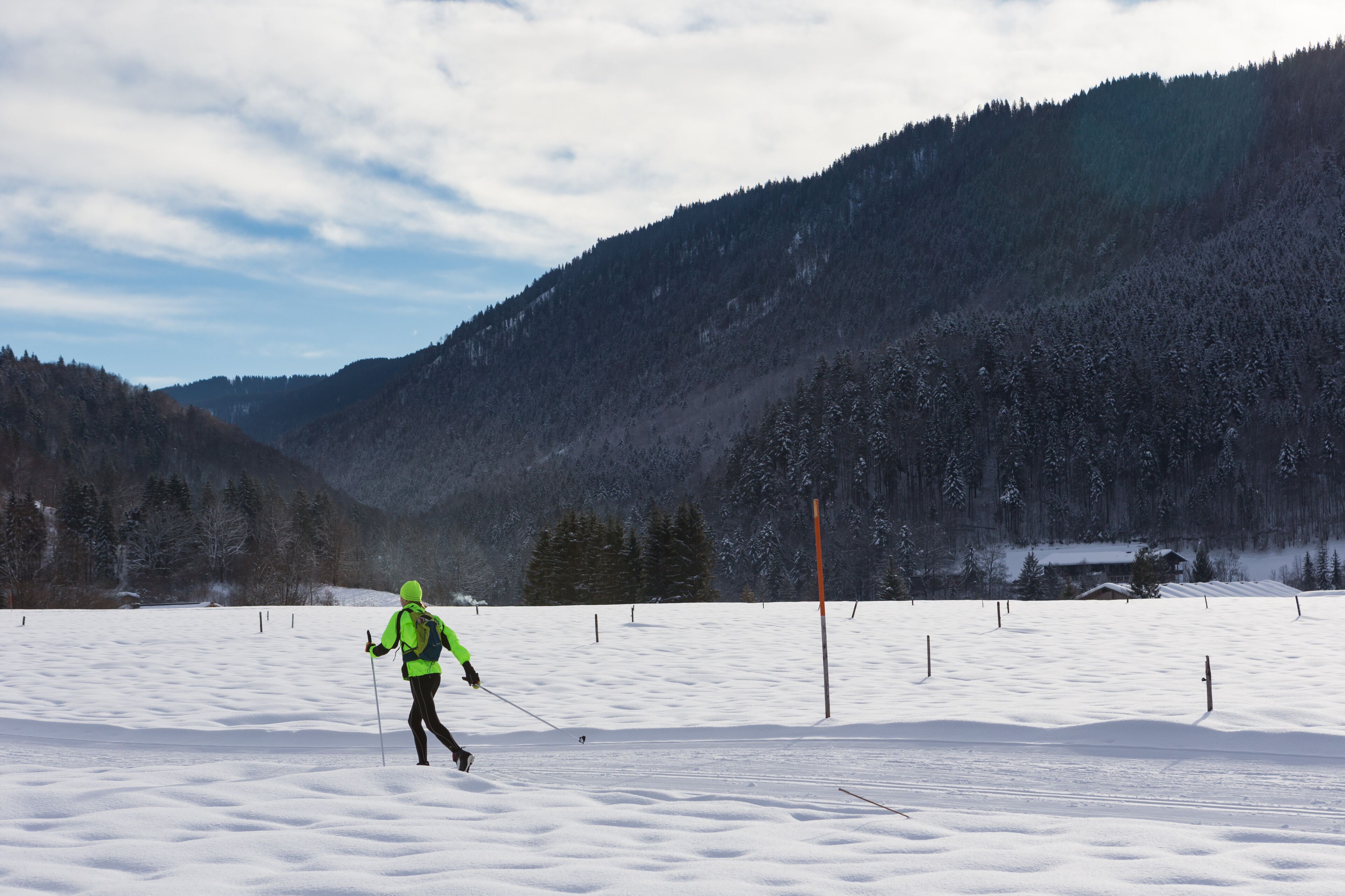A person cross-country skiing in a snowy landscape with a forested mountain in the background.