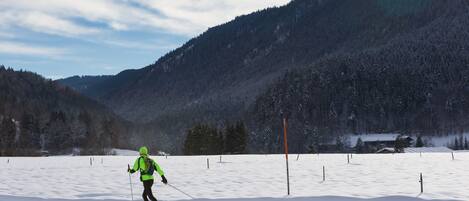 A person cross-country skiing in a snowy landscape with a forested mountain in the background.