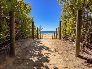 Un sentier de sable qui longe la plage et mène à l’océan, bordé de verdure et de poteaux en bois.