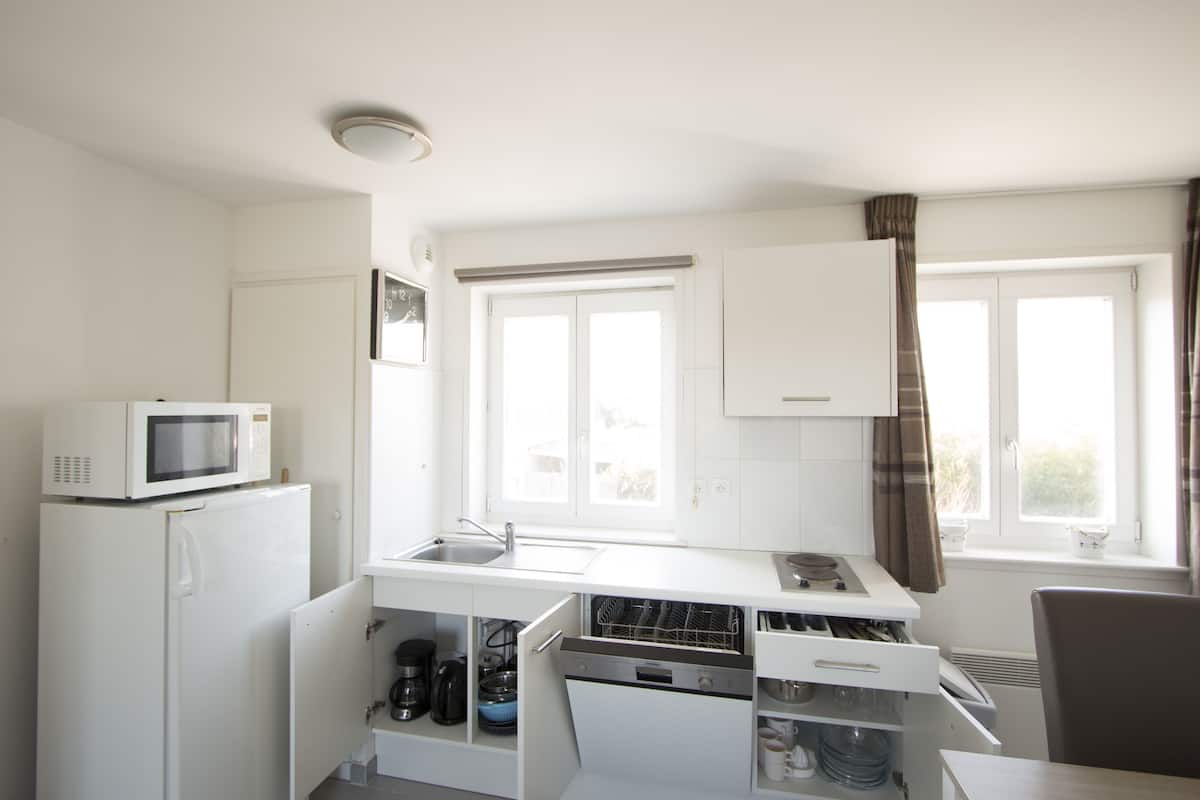 Chambre, 1 lit double | Cuisine privée | Réfrigérateur, micro-ondes, lave-vaisselle, cafetiÚre/bouilloire