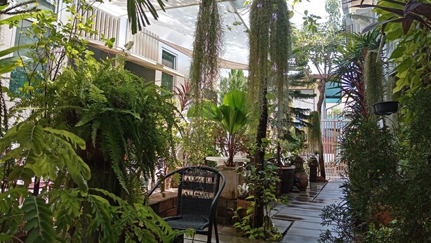 Een weelderige binnentuin met diverse planten en een zithoek.