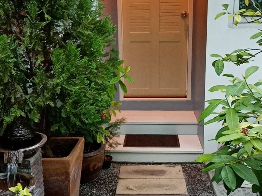A wooden door with a small porch area, surrounded by potted plants and a stone pathway.
