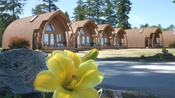 Cabins line a scenic driveway, each with a porch and windows, set amidst a lush lawn and towering trees.