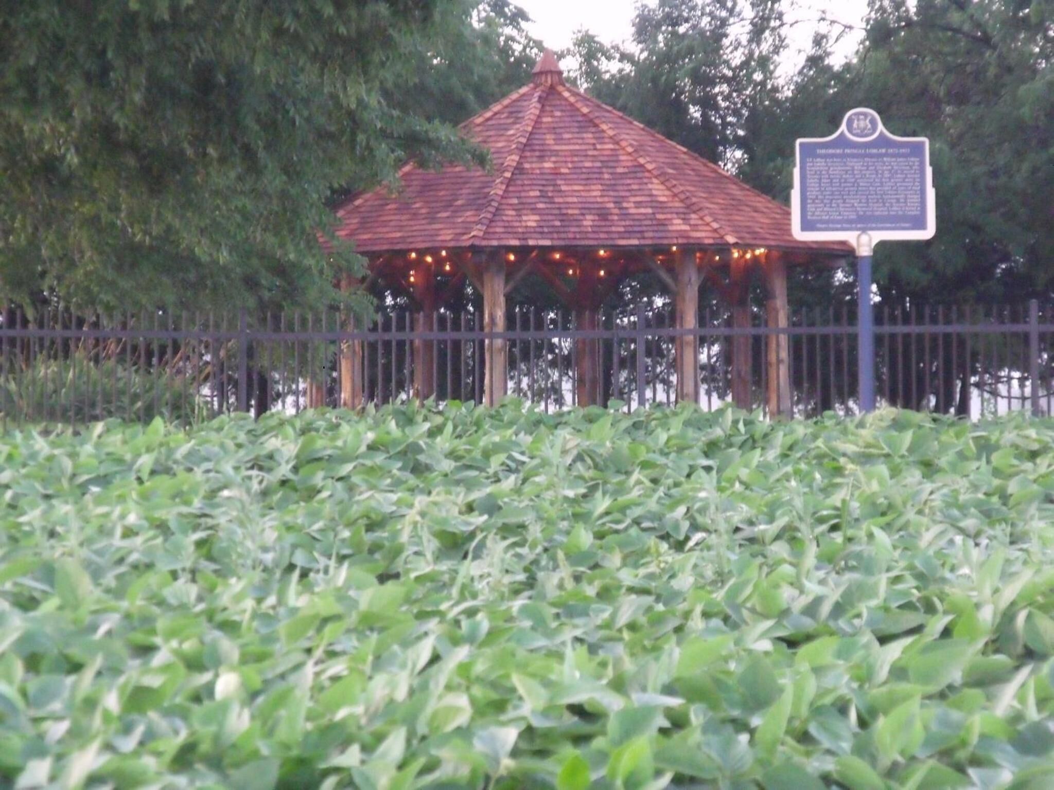 Foto - Stevenson Farms-Harvest Spa B & B