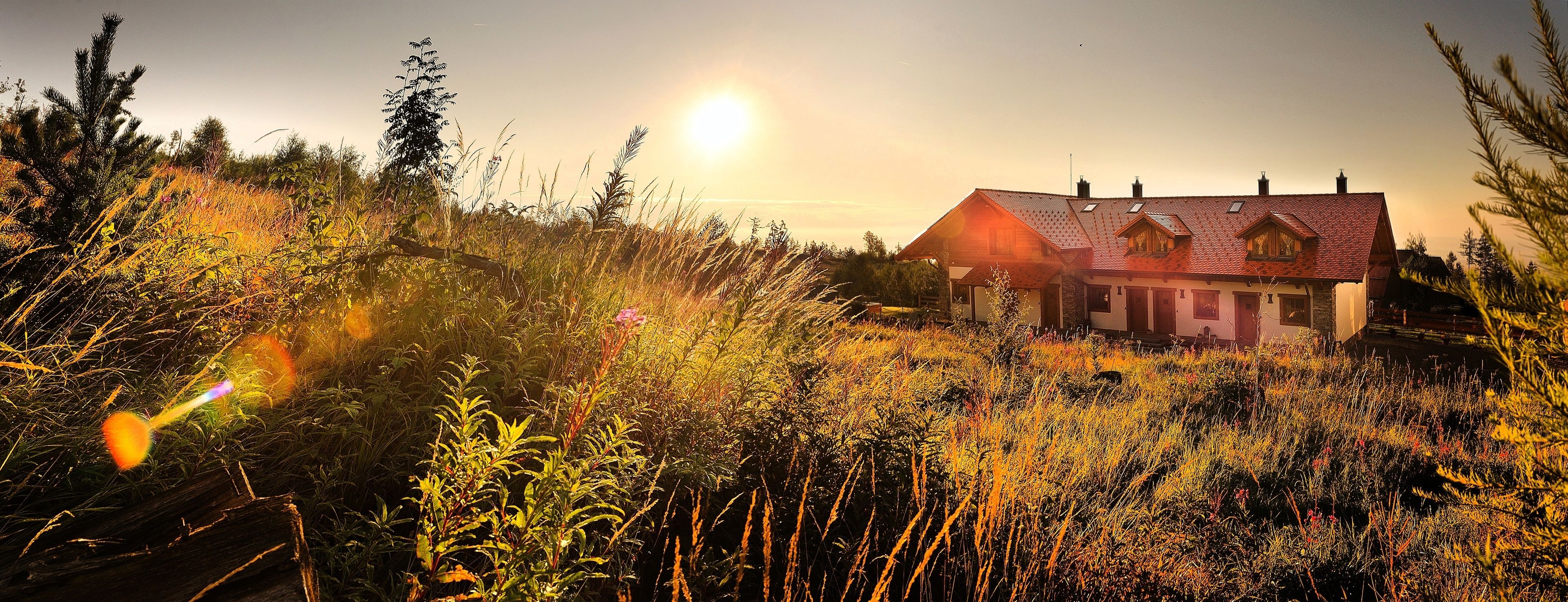 Ein Haus mit geneigtem Dach und mehreren Schornsteinen, umgeben von hohem Gras und Bäumen, mit untergehender Sonne im Hintergrund.