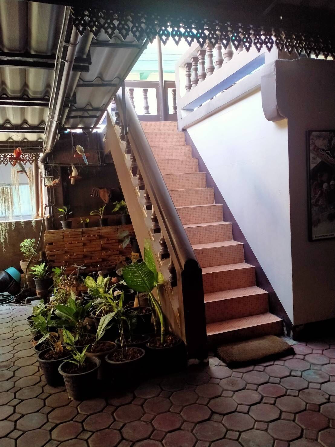 Foto - North Star Guest House