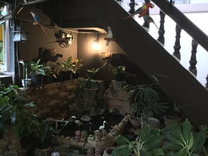 Interior - North Star Guest House (Chiang Mai)