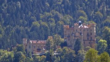 A castle-like building surrounded by dense forest.