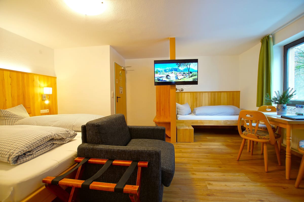 Hotellihuone, jossa on kaksi sänkyä, televisio, työpöytä tuolilla sekä pieni pöytä, jonka päällä on kasvi.