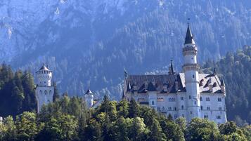 A large castle surrounded by dense forest and mountains.