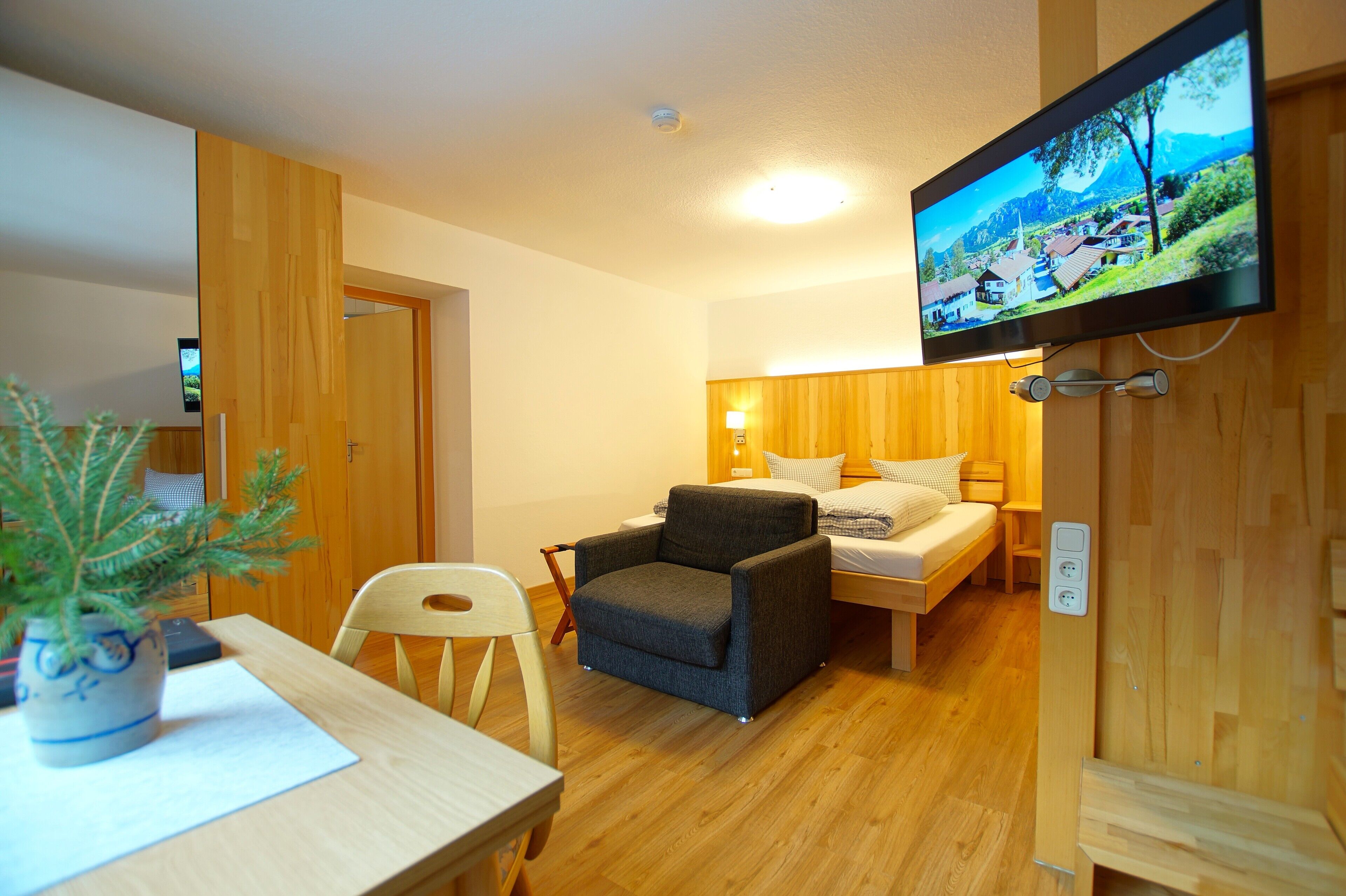 Ein Zimmer mit einem Bett, einem Schreibtisch, einem Stuhl, einem Fernseher und einer Pflanze.