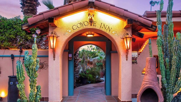 The entrance to Coyote Inn with a distinctive arched doorway, illuminated by wall-mounted lights, and surrounded by cacti and a decorative pot. - Coyote Inn - 21 and Over - A Town & Desert Boutique Hotel (Palm Springs)